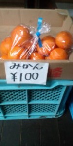 20101201175212.jpg