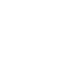 鳥のメニュー表