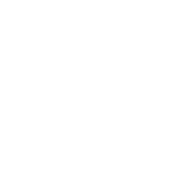 コッコブログ